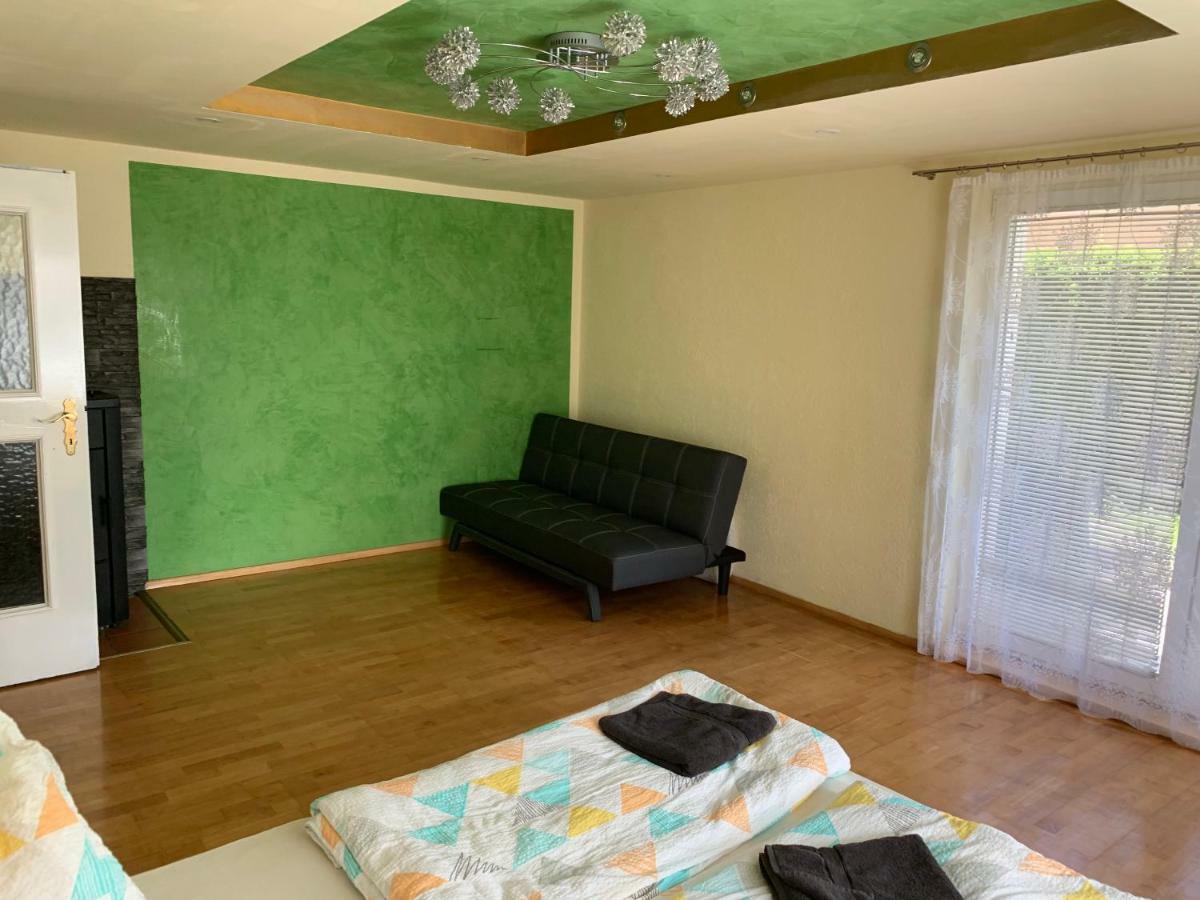 Nexi S Appartement An Der Enns 9 Radstadt Ngoại thất bức ảnh